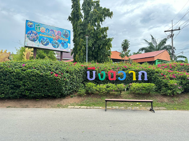 บึงฉวากเฉลิมพระเกียรติ