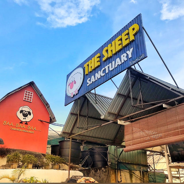 🇲🇾 Brinchang, Cameron Highlands : 2D1N Escape
