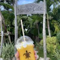 【宮古島】南国風の超おしゃれカフェ☕️🌺🌴