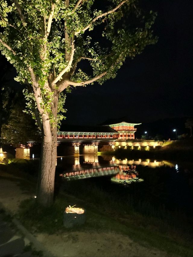 경주의 가장 아름다운 야경을 볼수있는 곳✨️