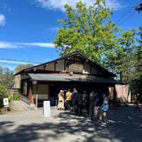 札幌景點｜日本最北第一神社北海道的守護神—北海道神宮