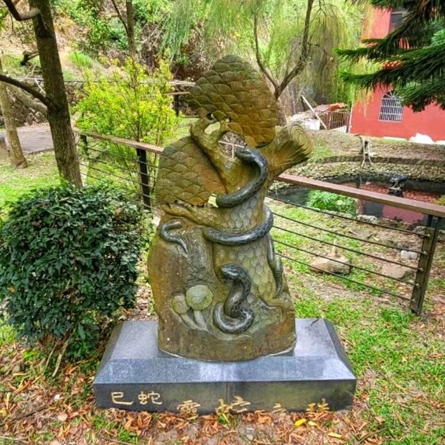 【嘉義】龍隱寺：周圍被茂密的森林包圍，遠離城市的喧囂