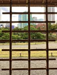 〜東京都〜オフィス街のど真ん中にある異世界公園！
