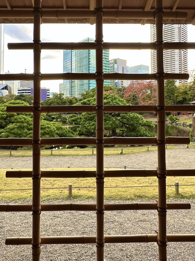 〜東京都〜オフィス街のど真ん中にある異世界公園！