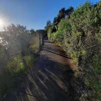 Sydney’s Scenic Coastal Secret