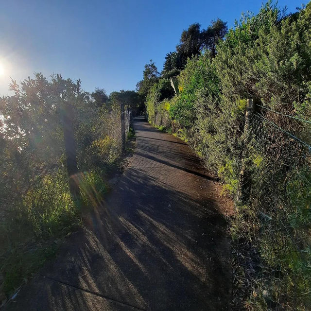 Sydney’s Scenic Coastal Secret