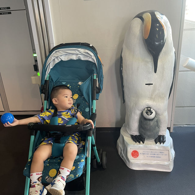 大阪自由行｜大阪水族館海遊館