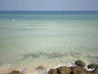 หาดแสม สะพานเขียว เกาะล้าน