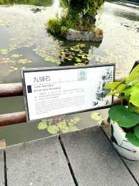 Nine Lion Rockery at Hangzhou's West Lake 