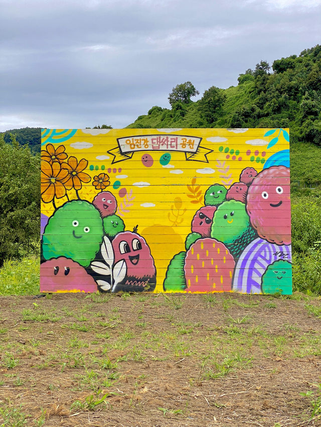몽글몽글 귀여운 댑싸리가 가득한 가을 명소 🌳임진강 댑싸리공원