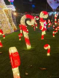Christmas Wonderland at Gardens by the Bay: A Festive Night of Lights