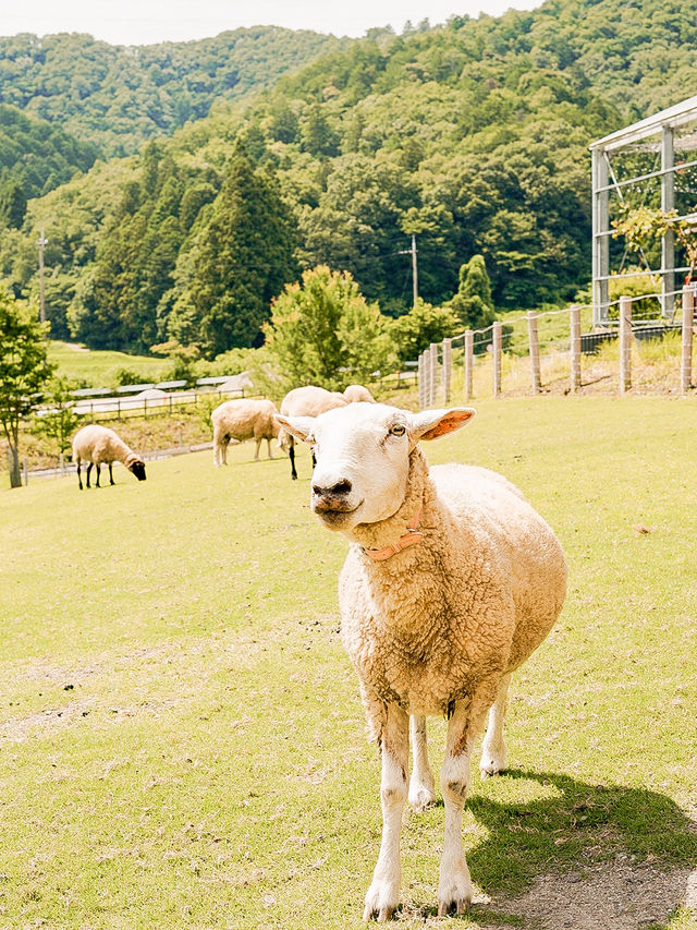 📍ローザンベリー多和田