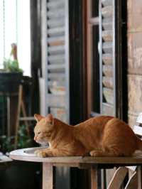 แวะมาทานกาแฟคุณแม่ที่ Mother Roaster 