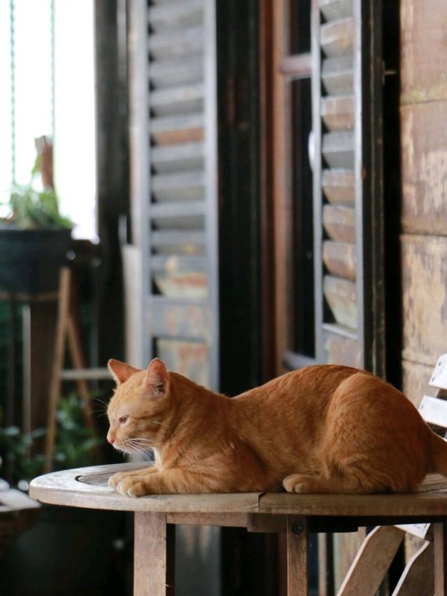 แวะมาทานกาแฟคุณแม่ที่ Mother Roaster 