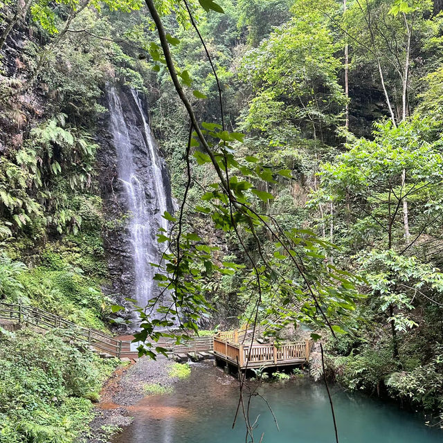 ～陽台山森林公園～自然的奇妙～