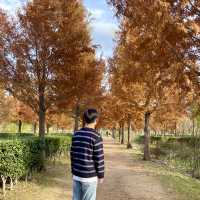부산의 숨겨진 가을산책길을 찾아서🍂🍁
