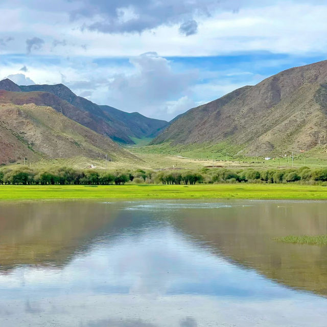 茂林寺沼及低地濕原：仙境濕地 🌿💧