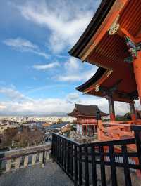 <京都 清水寺> 🇯🇵🍂名滿天下的賞楓勝地！ 