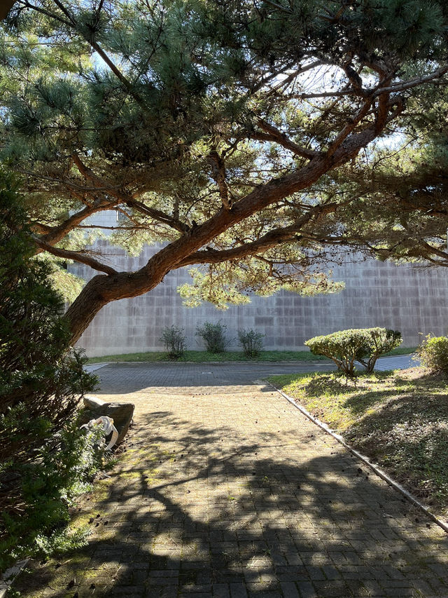 사진찍기 좋은 천안여행지