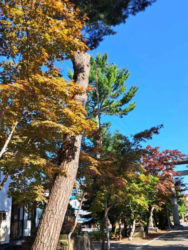 【遠軽神社:北海道遠軽町】紅葉が美しい静かな神社⛩️