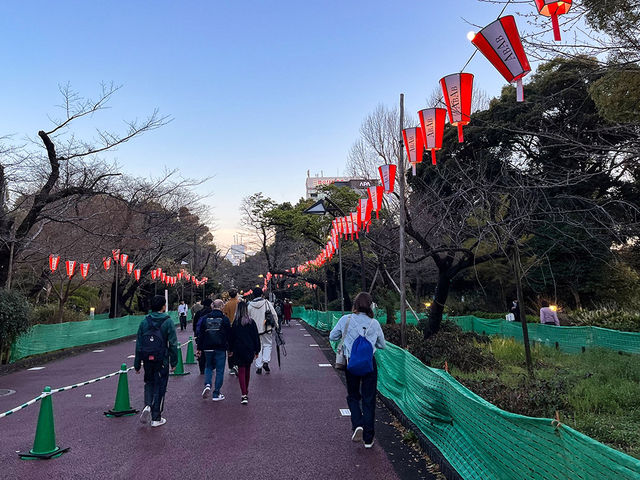 東京景點｜上野公園：櫻花之約