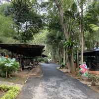 A Day of Adventure: Discover Zoo Melaka 🇲🇾