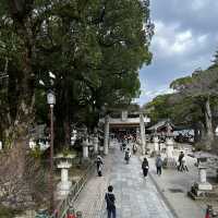 Japan-Dazaifu-Shop and hike all in one place 