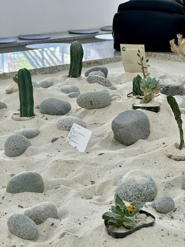 도심 속 작은 사막 감성 💚 역삼동의 블루리본 맛집 카페투어 추천 🌵