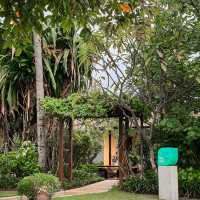 Tea Tree Spa Baruna