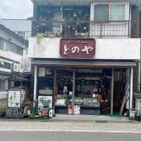 【新潟/湯沢】足湯もあるよ‼︎越後湯沢駅とその周辺をご紹介