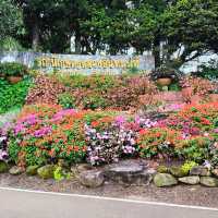 สถานีเกษตรหลวงอินทนนท์ สวนพรรณพืชดอกไม้สวยๆ