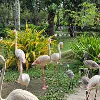 ที่เที่ยวครอบครัว   สวนสัตว์เปิดเขาเขียว  ชลบุรี