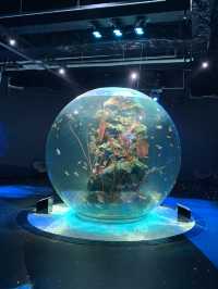 神戸　新感覚！！アート🎨✖️水族館🐟