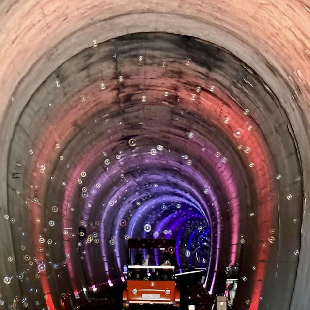 韓國江村鐵路-鐵路腳踏車活動，欣賞特別效果及美麗的風景