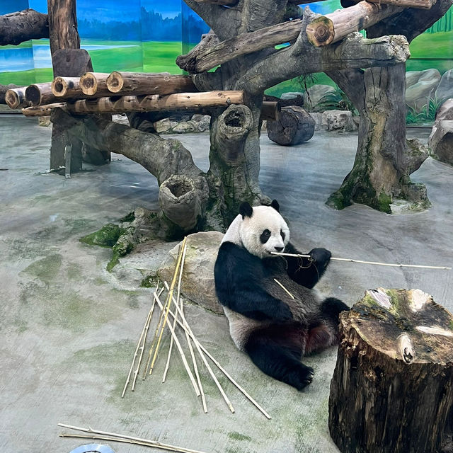 【台北動物園】 台北市立動物園😎