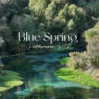 New Zealand Blue Spring