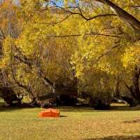 Wanaka is like a paradise for hiking