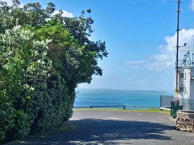 奧克蘭最佳觀景地 維多利亞山與德文港