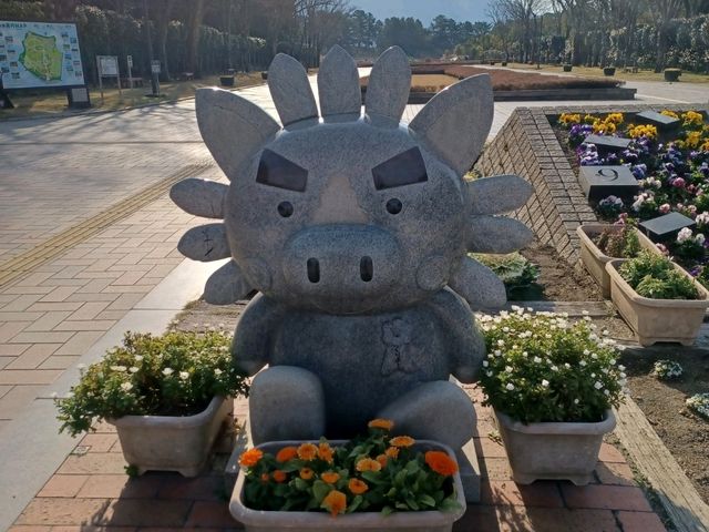 【鹿児島県立吉野公園:鹿児島市】綺麗なお花が咲く広大な公園🌳