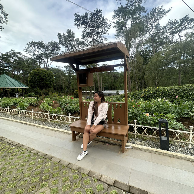 Baguio Botanical Garden: 