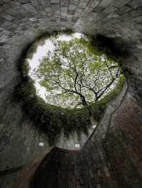 Fort Canning Park