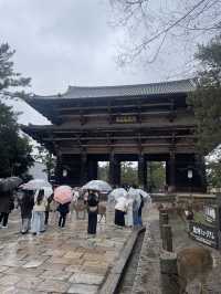 NARA🦌 in One Day: Where History and Nature Embrace