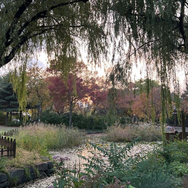 가을의 여의도공원 🍁🌼