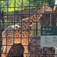東京景點｜日本最古老的親子動物園—恩賜上野動物園