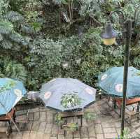 台北貓空最棒大自然景觀餐廳（邀月）餐廳24小時營業