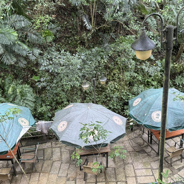 台北貓空最棒大自然景觀餐廳（邀月）餐廳24小時營業