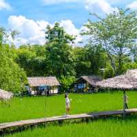 ไปเที่ยวคาเฟ่บรรยากาศดีๆที่มีน้องๆสัตว์น่ารักๆกัน