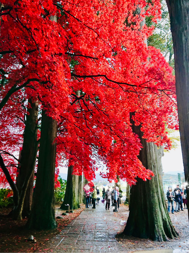 📍長野　真っ赤な紅葉が見られる長円寺