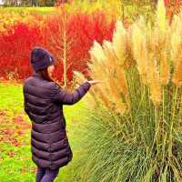 Leeds Castle 利茲城堡