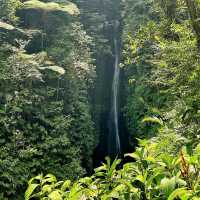 Handara Gate: Bali’s Iconic Spot